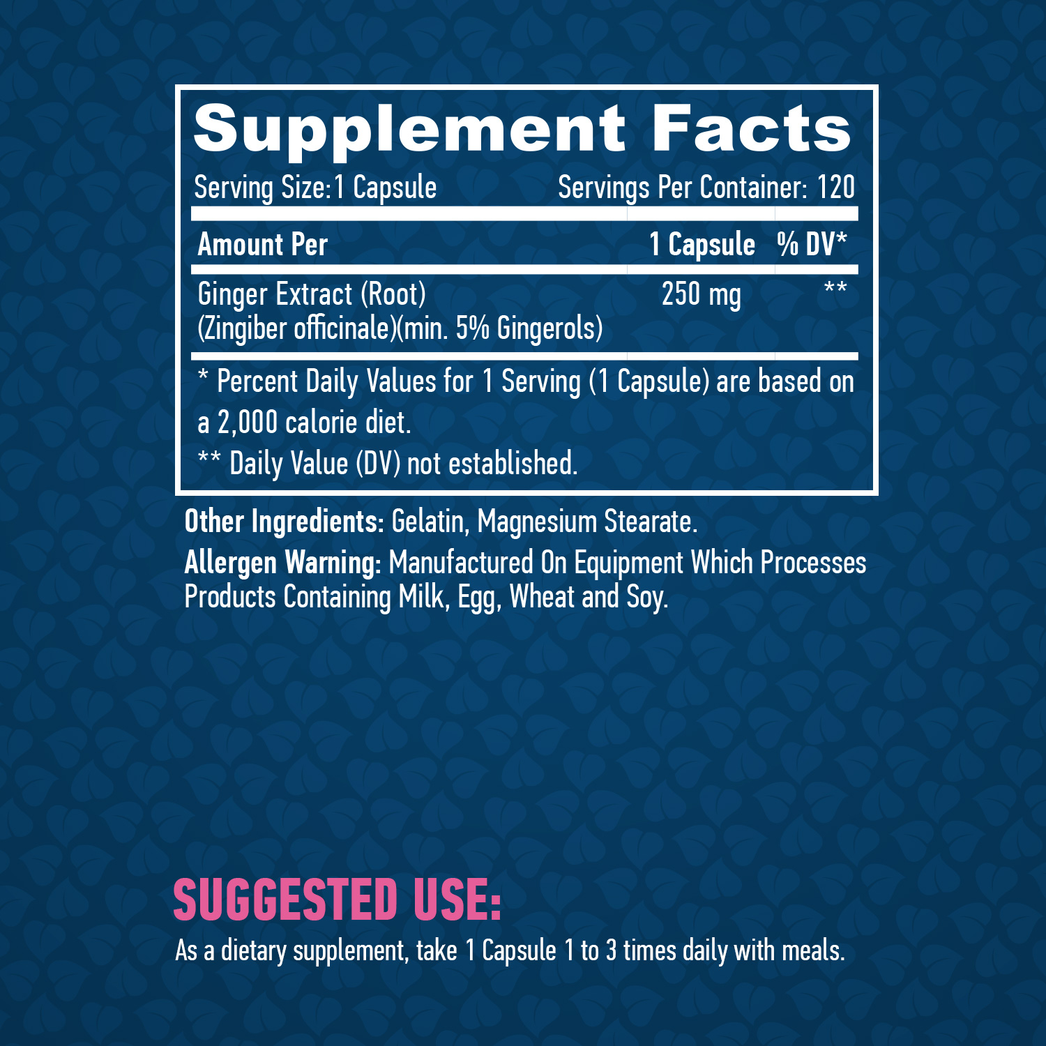 HAYA LABS Ginger съставки