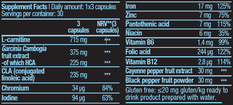 BIOTECH USA Mega Burner съставки